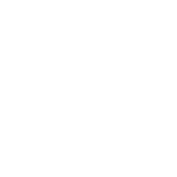 Codex