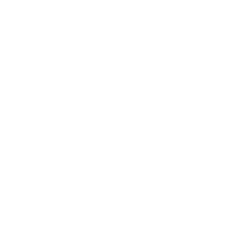 RIM